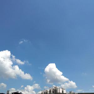 同性做爱在线免费看
