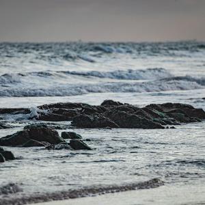 同性做爱在线免费看
